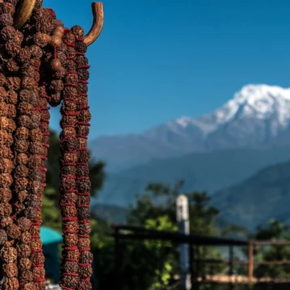 Et doloribus fuga D 2