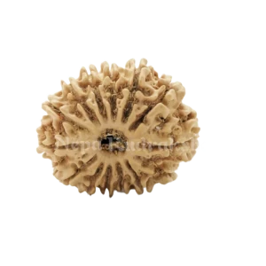 Et doloribus fuga D thumb 0